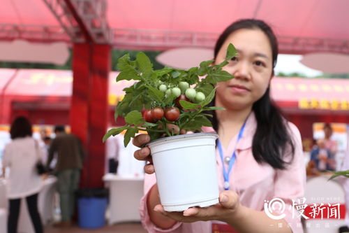 2021年重慶高新區(qū)科技活動周盛大啟幕 科技服務(wù)賦能創(chuàng)新發(fā)展