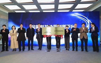 北京金融科技與專業(yè)服務(wù)創(chuàng)新示范區(qū)核心區(qū)建設(shè)啟動(dòng) 張亮副秘書長(zhǎng)出席座談并見證